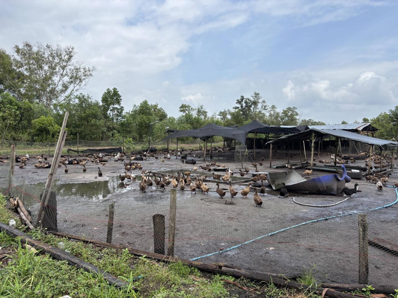 ภาพประกอบที่ 17