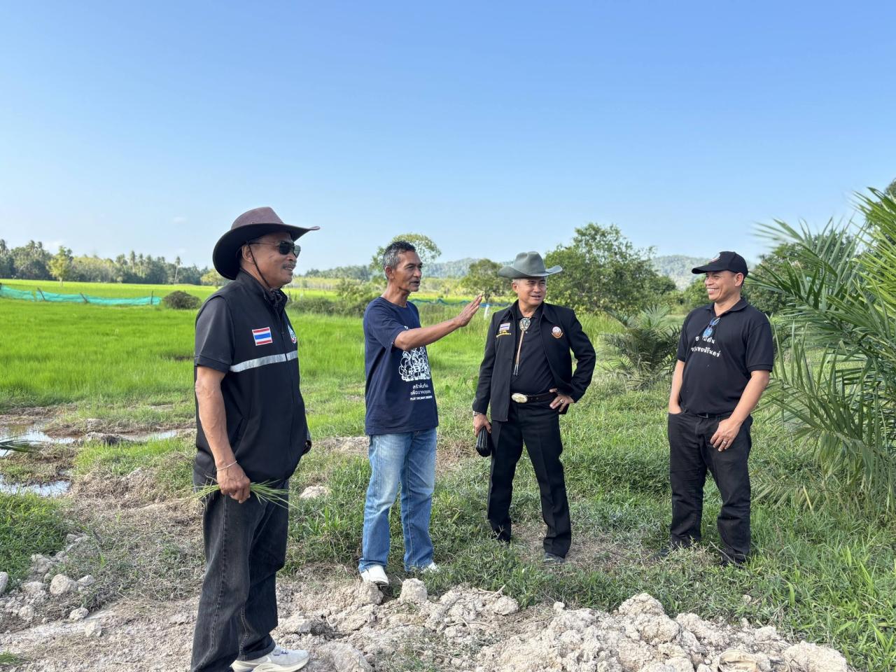 ภาพประกอบที่ 8