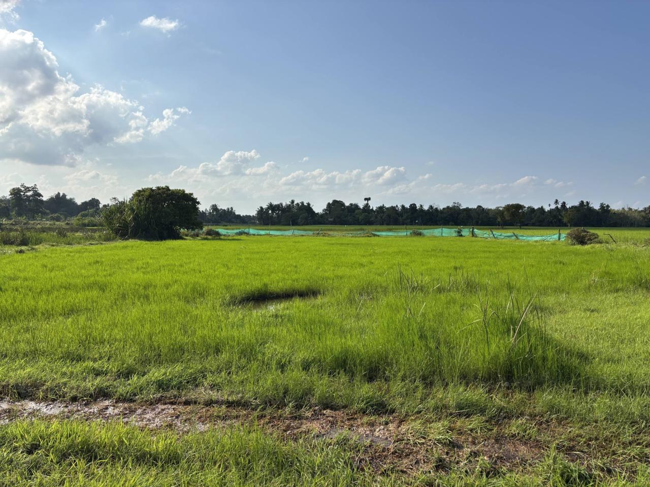 ภาพประกอบที่ 9