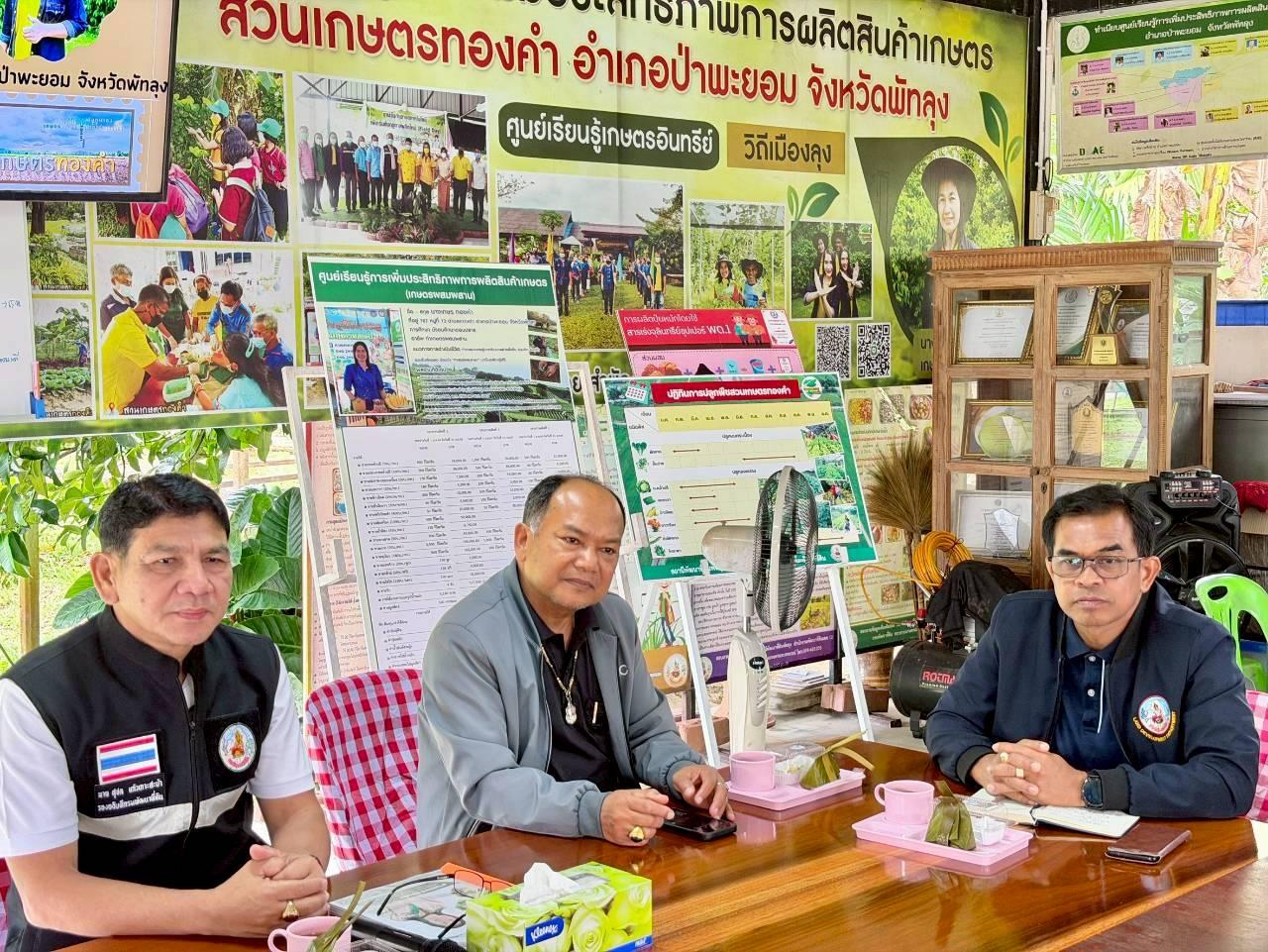 ภาพประกอบที่ 16