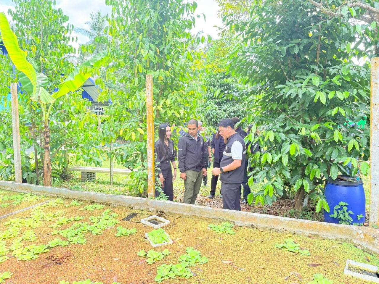 ภาพประกอบที่ 21