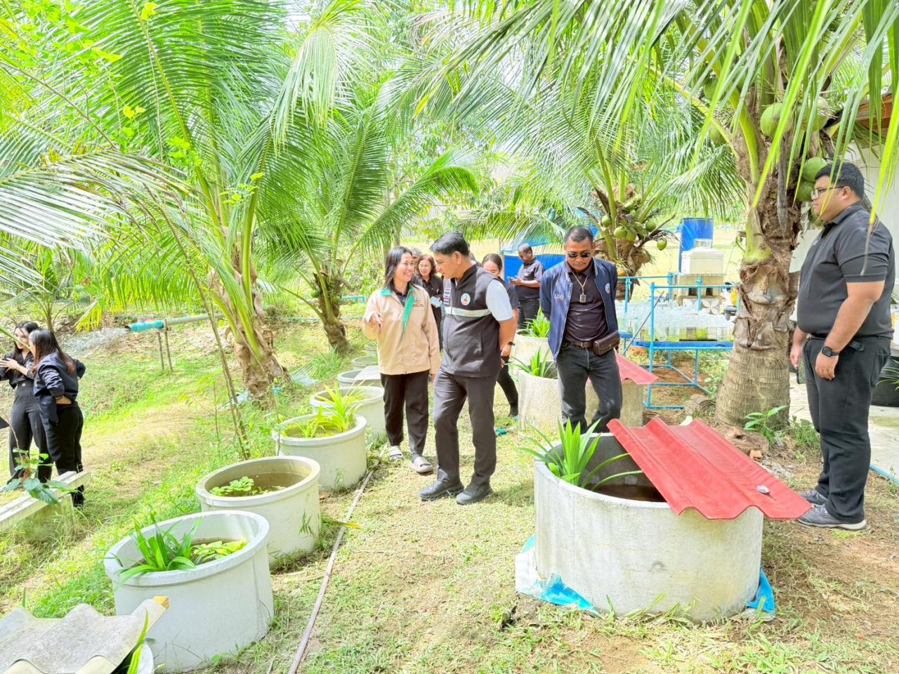 ภาพประกอบที่ 24