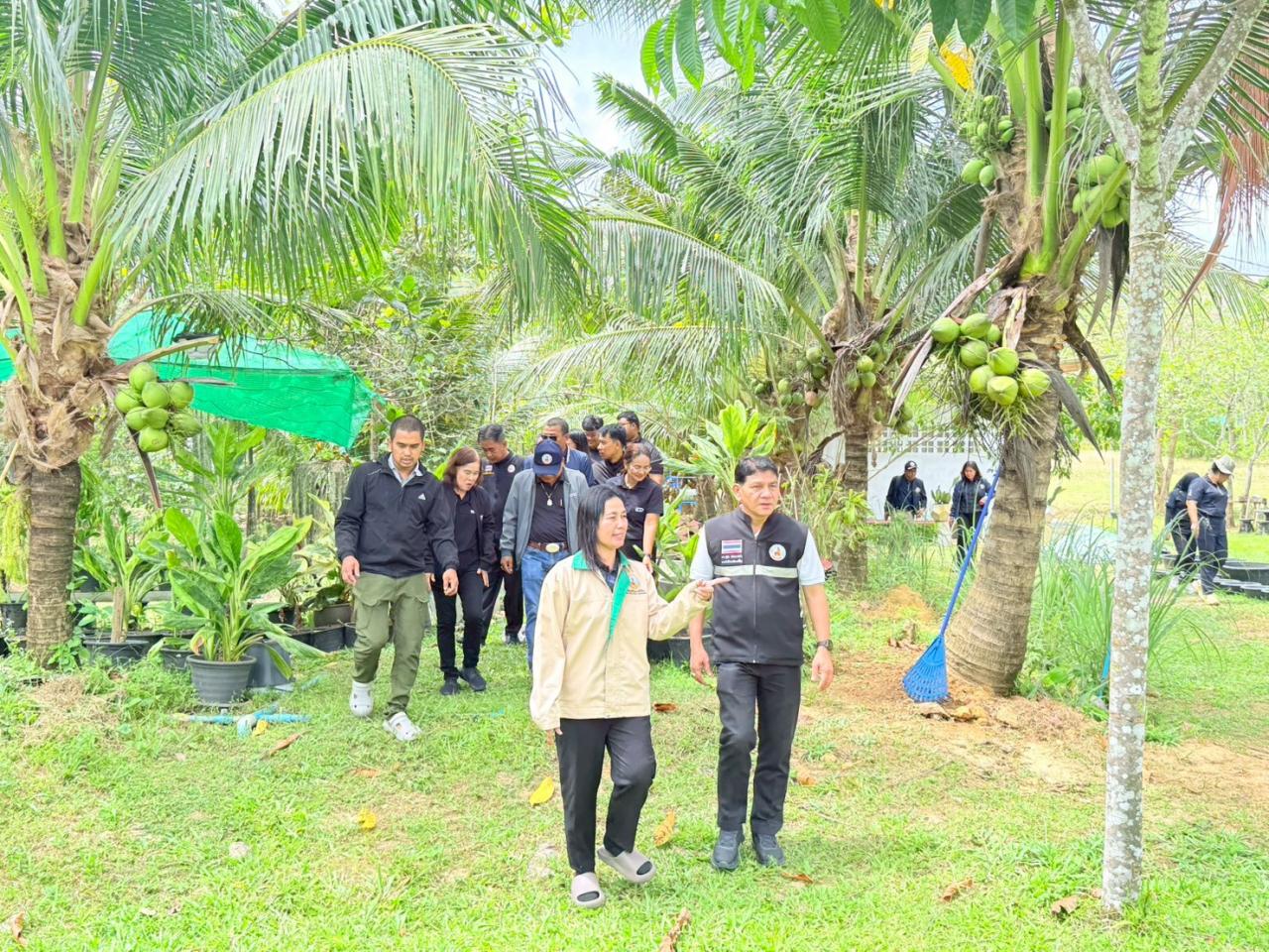 ภาพประกอบที่ 25