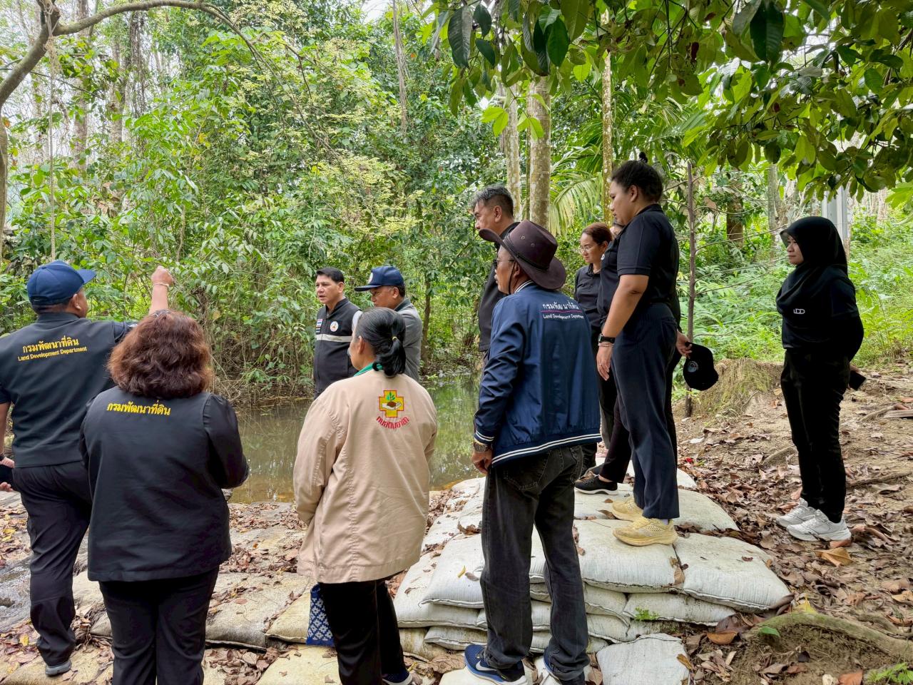ภาพประกอบที่ 10