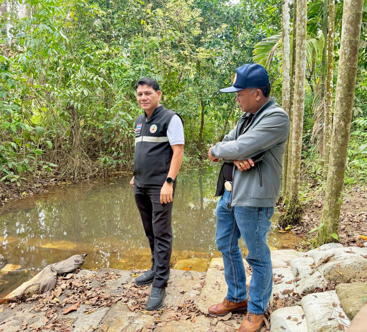 ภาพประกอบที่ 11