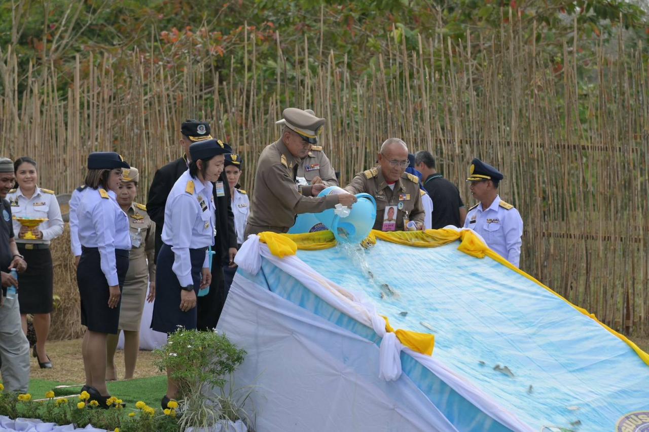 ภาพประกอบที่ 5