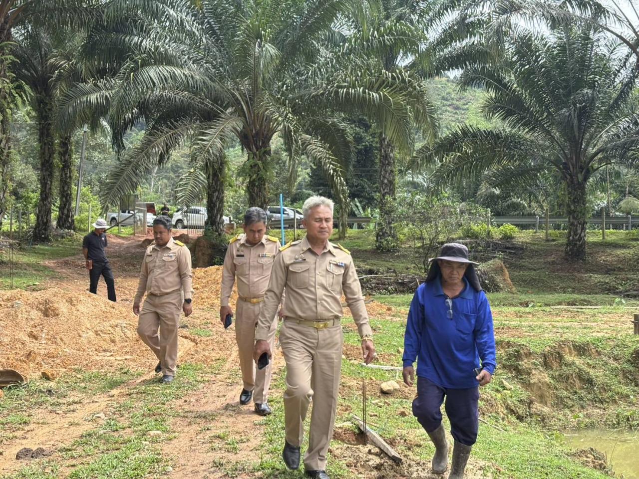 ภาพประกอบที่ 4