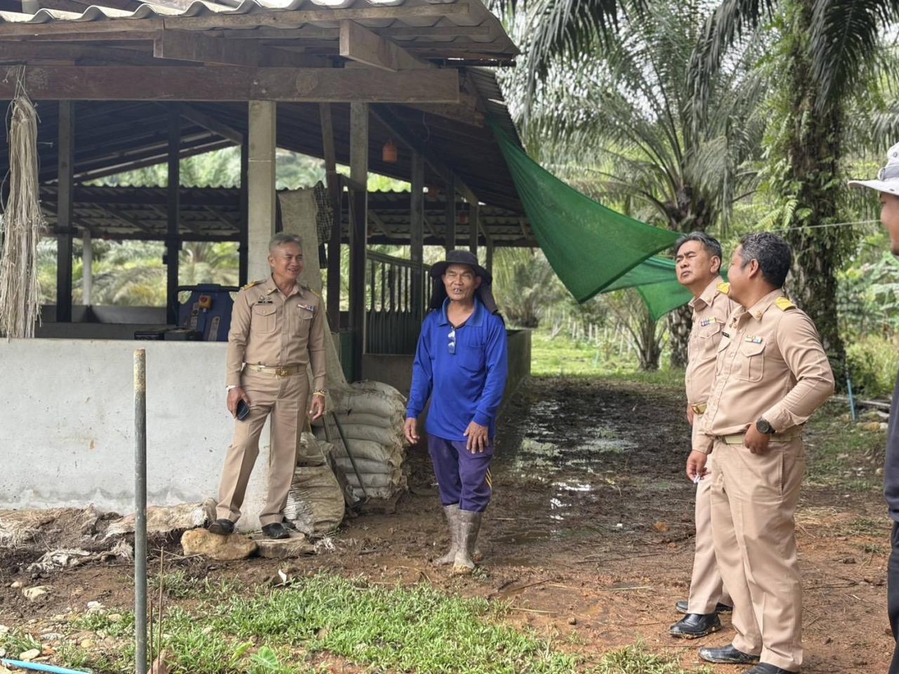 ภาพประกอบที่ 6