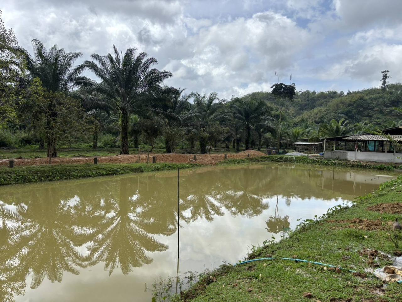 ภาพประกอบที่ 7