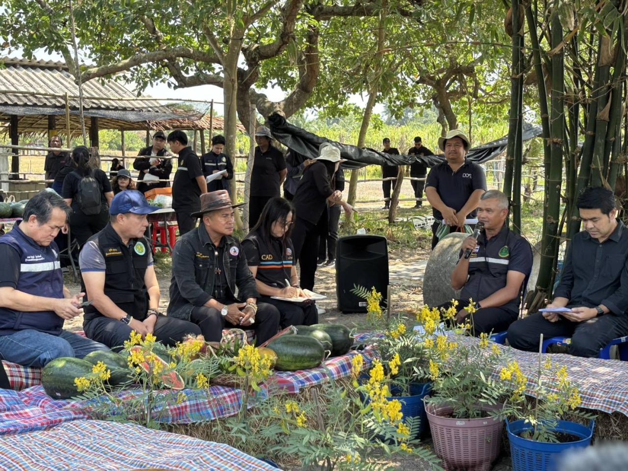 ภาพประกอบที่ 12