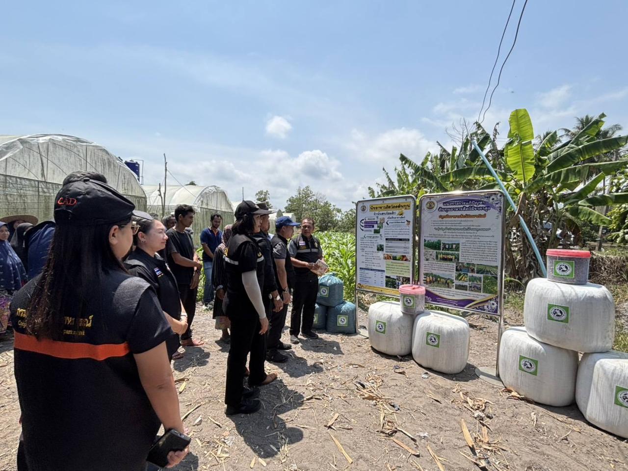 ภาพประกอบที่ 17