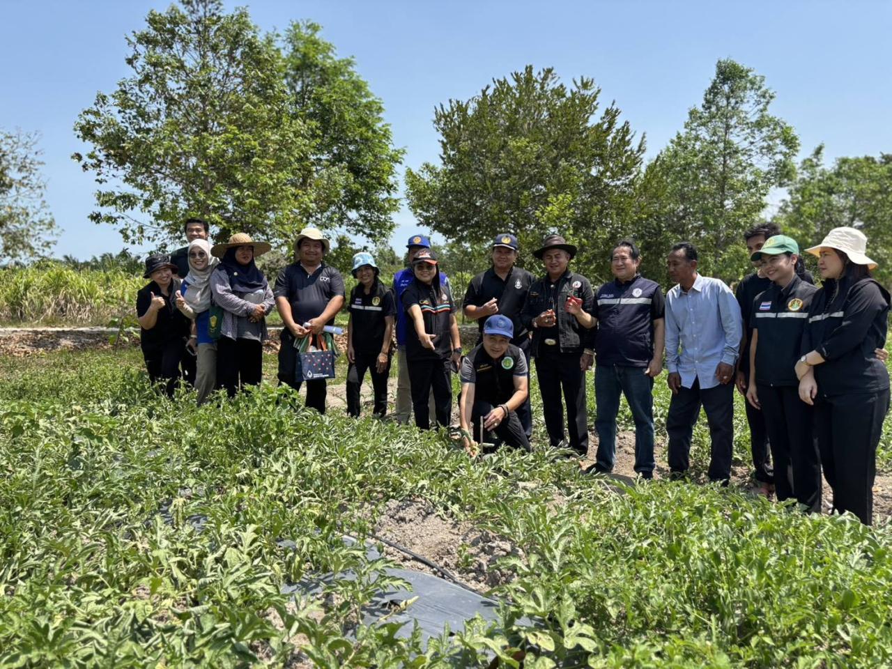 ภาพประกอบที่ 22