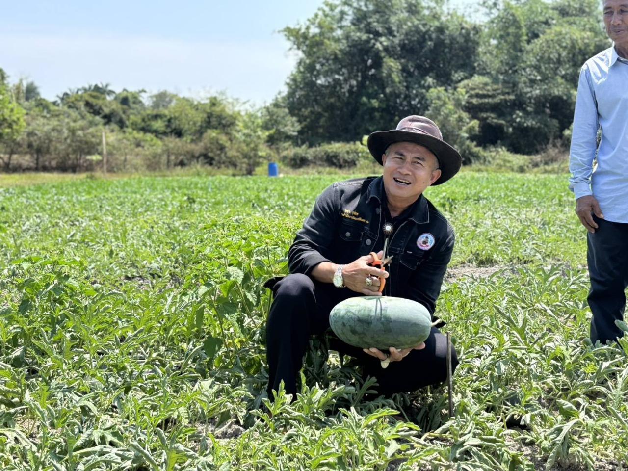 ภาพประกอบที่ 23