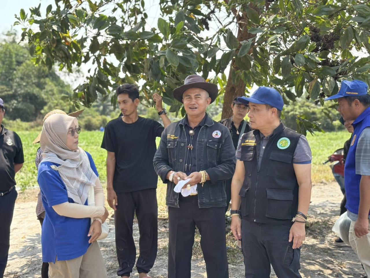 ภาพประกอบที่ 24