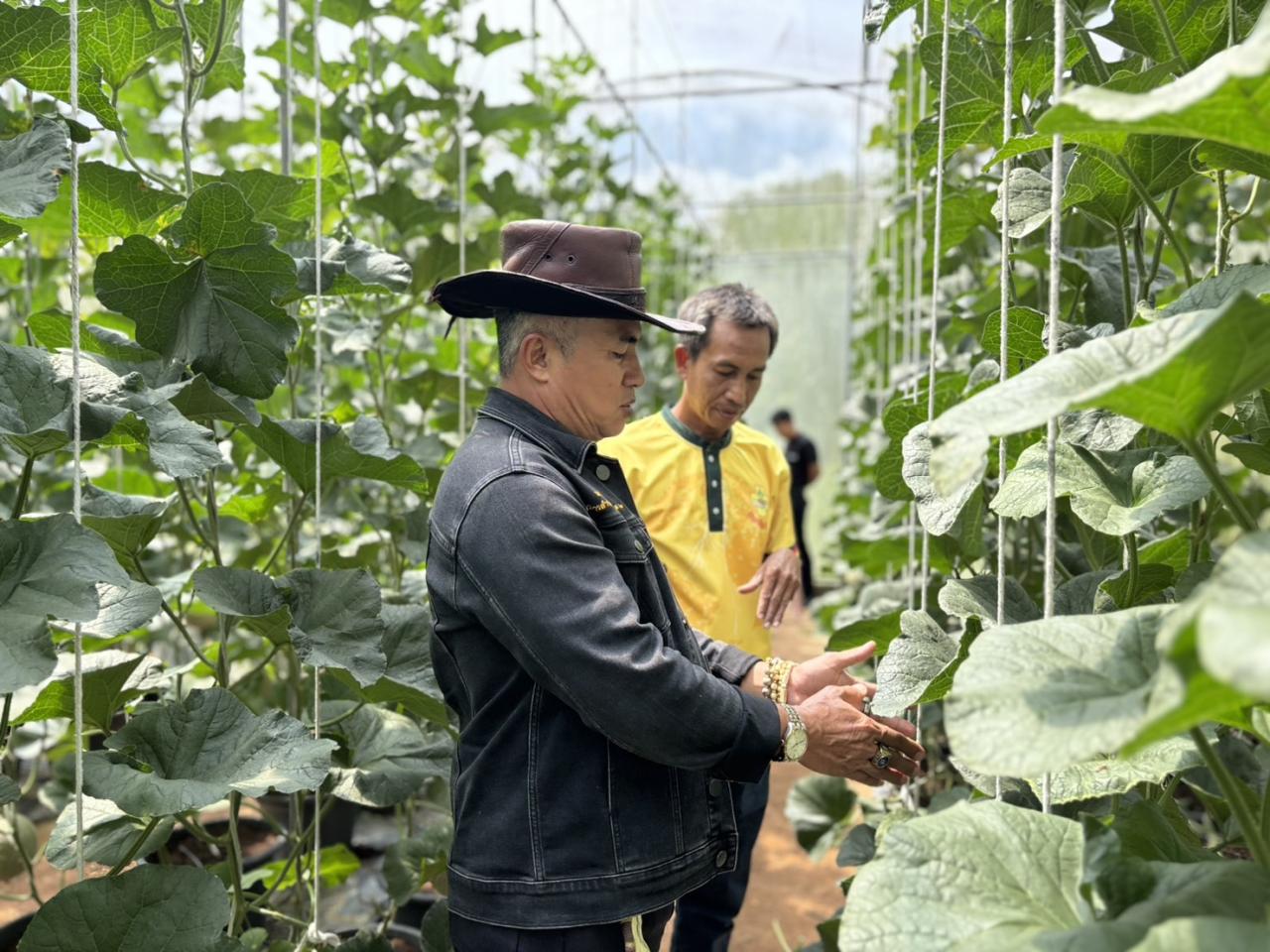 ภาพประกอบที่ 7