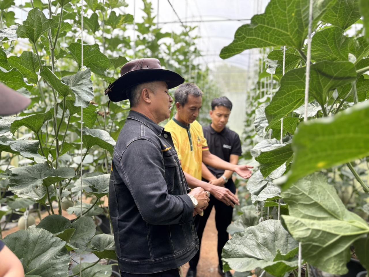 ภาพประกอบที่ 8