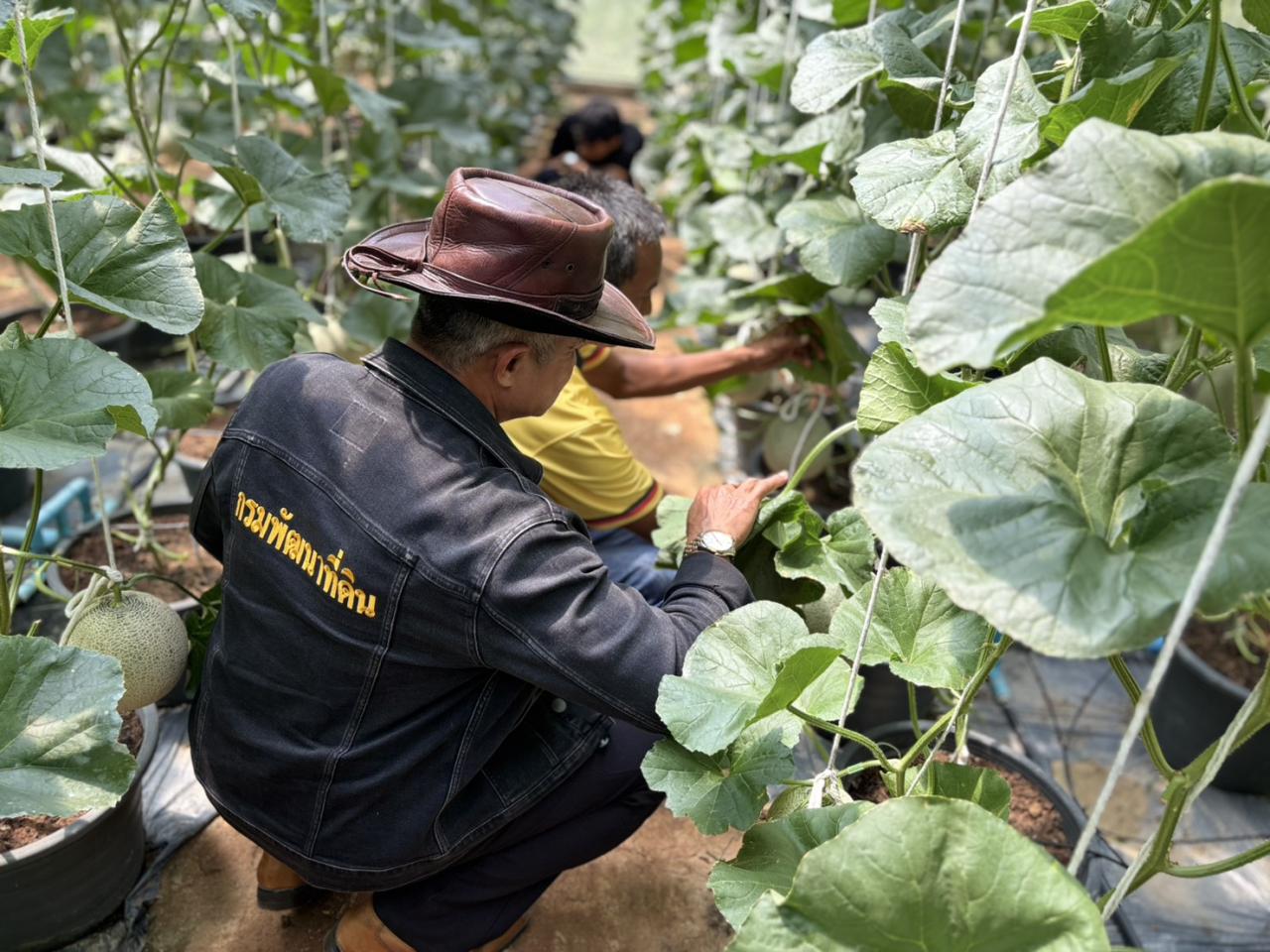 ภาพประกอบที่ 9