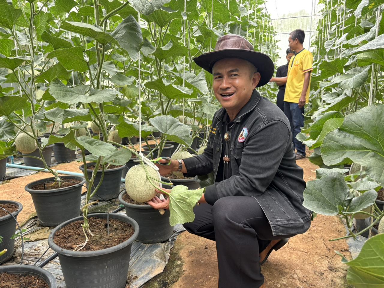 ภาพประกอบที่ 11