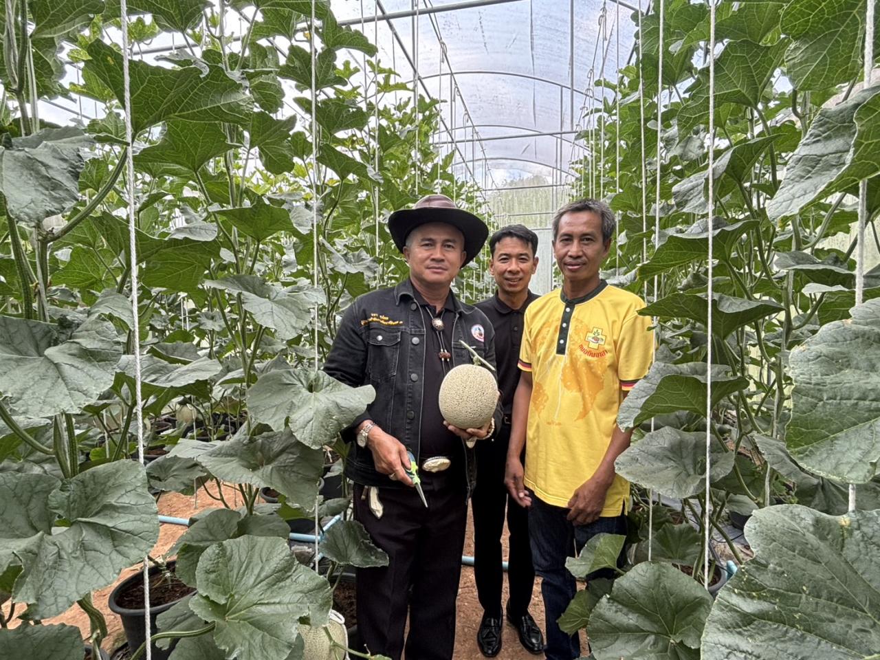 ภาพประกอบที่ 12