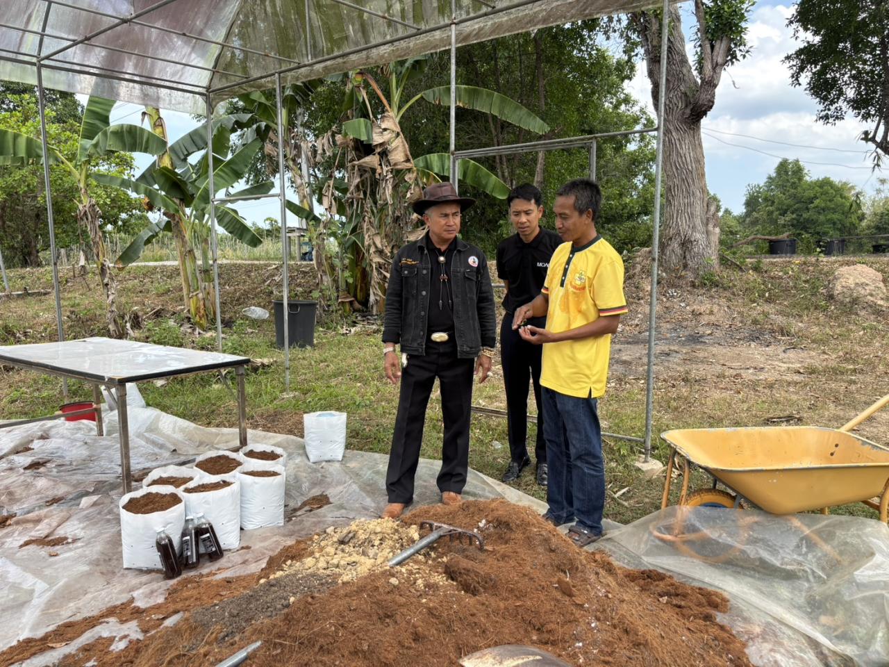 ภาพประกอบที่ 13