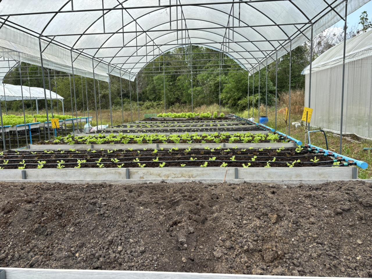 ภาพประกอบที่ 18