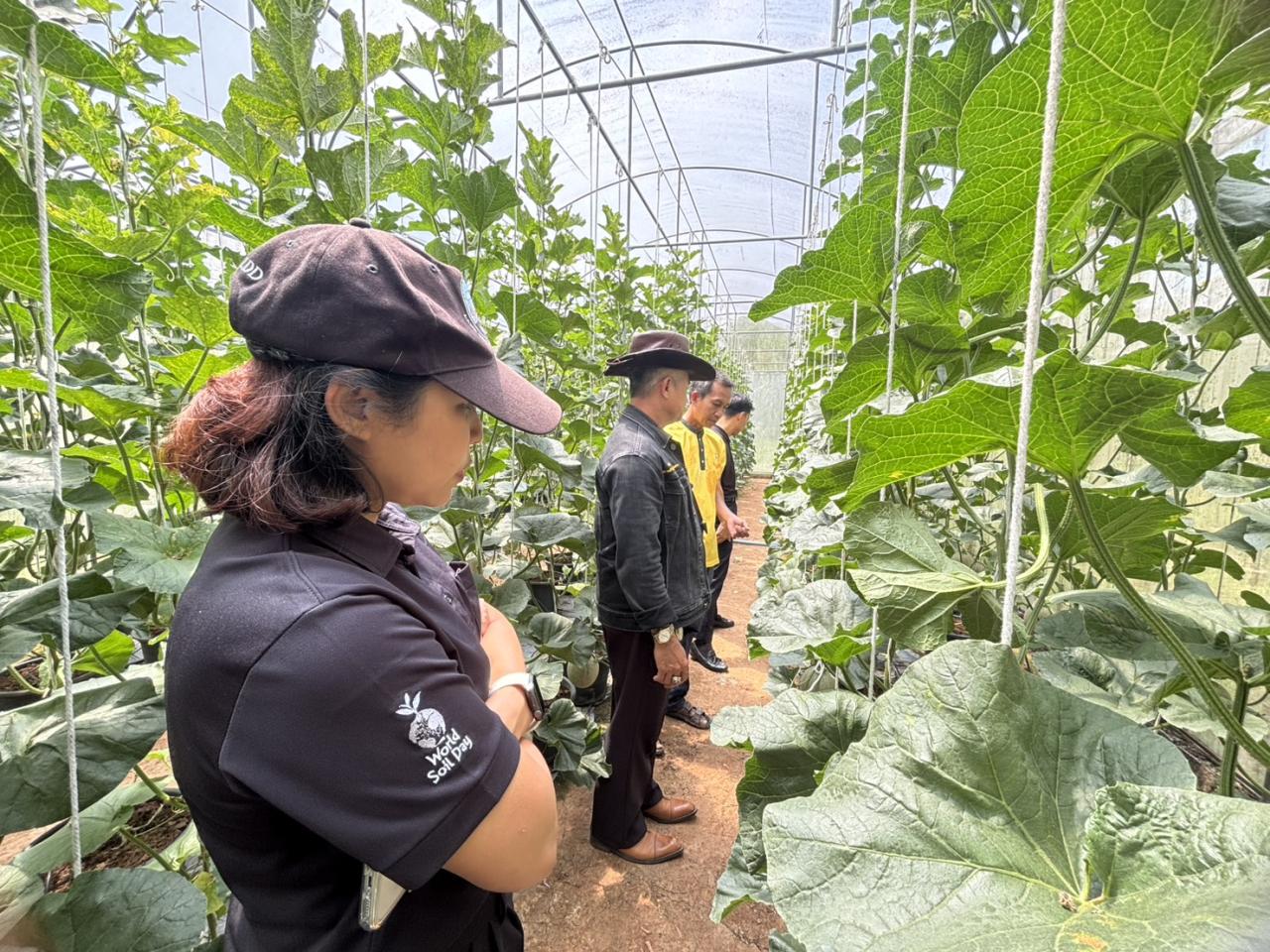 ภาพประกอบที่ 23