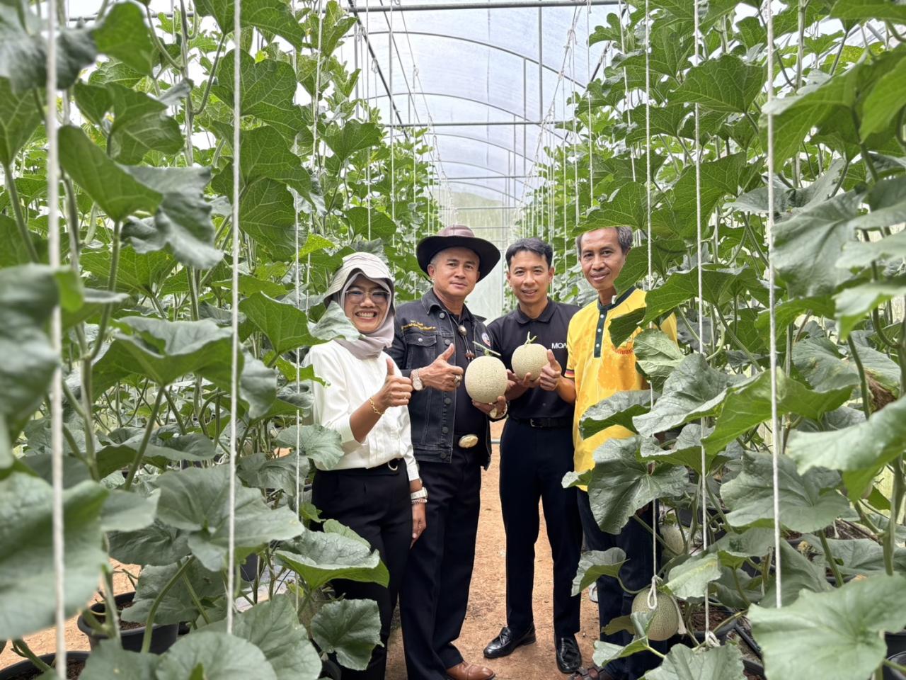 ภาพประกอบที่ 24