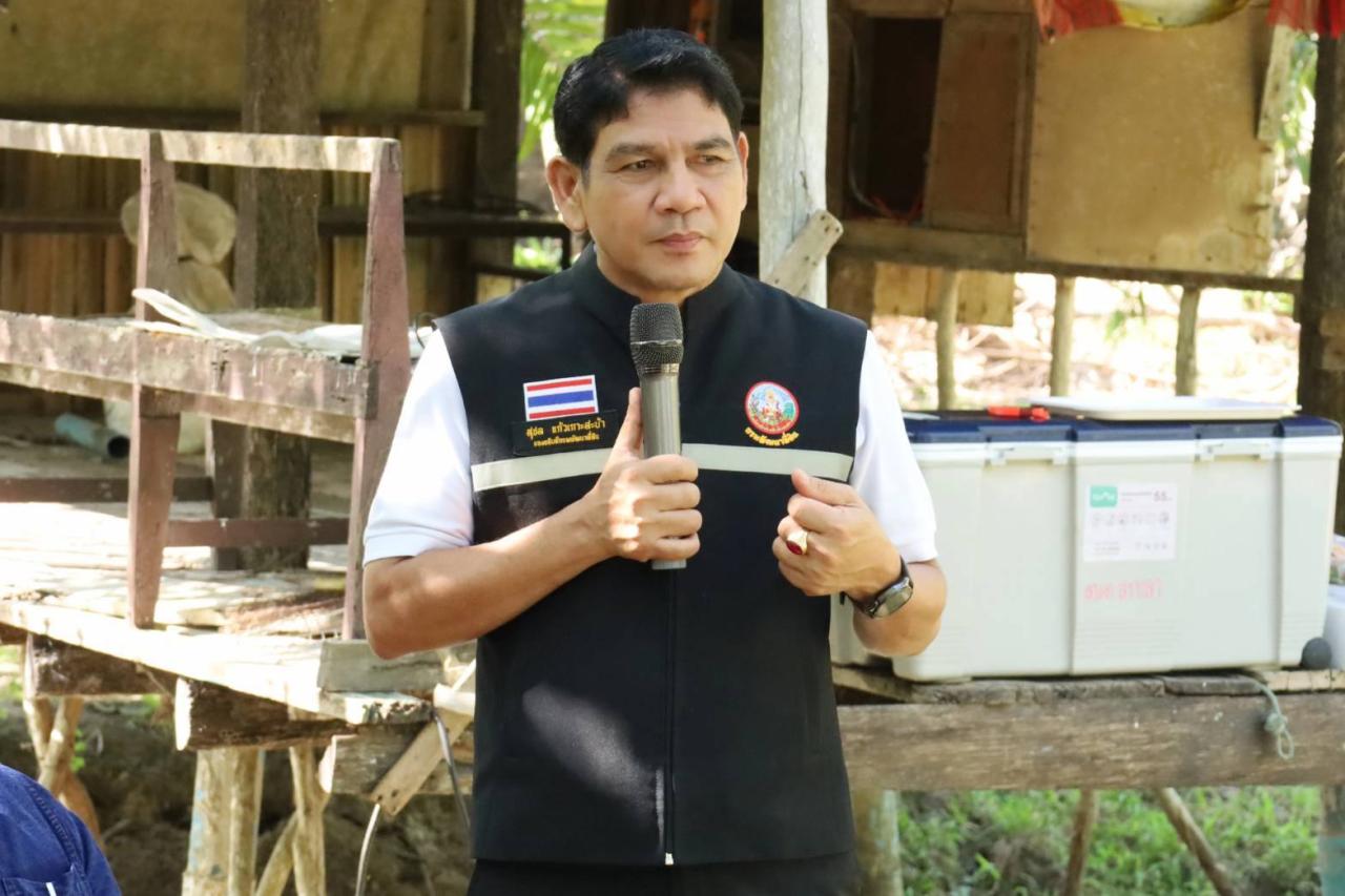 ภาพประกอบที่ 0