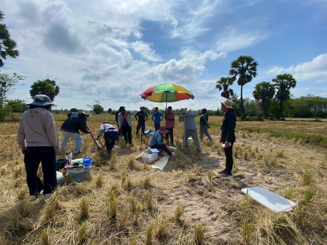 ภาพประกอบที่ 1