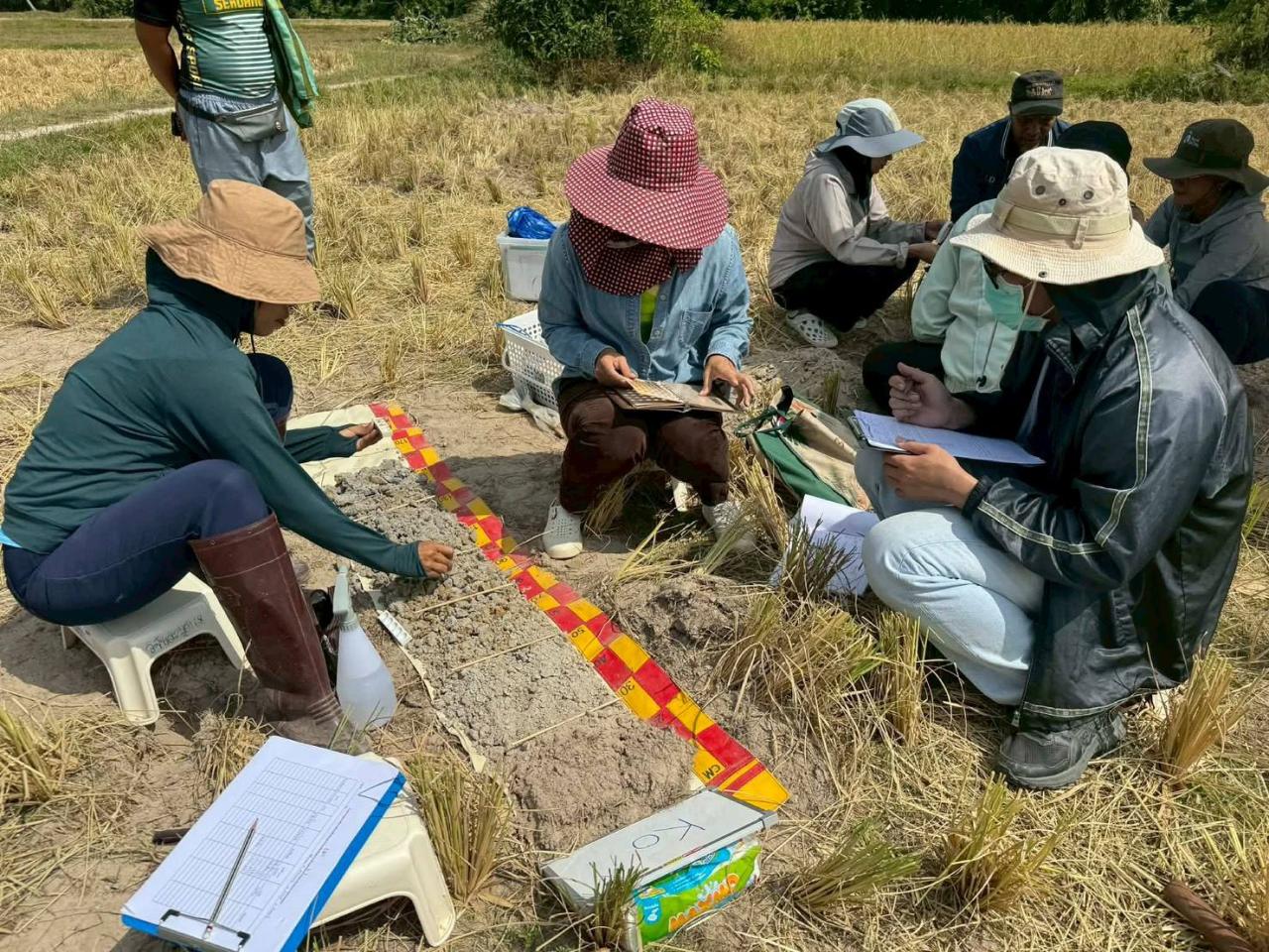 ภาพประกอบที่ 6