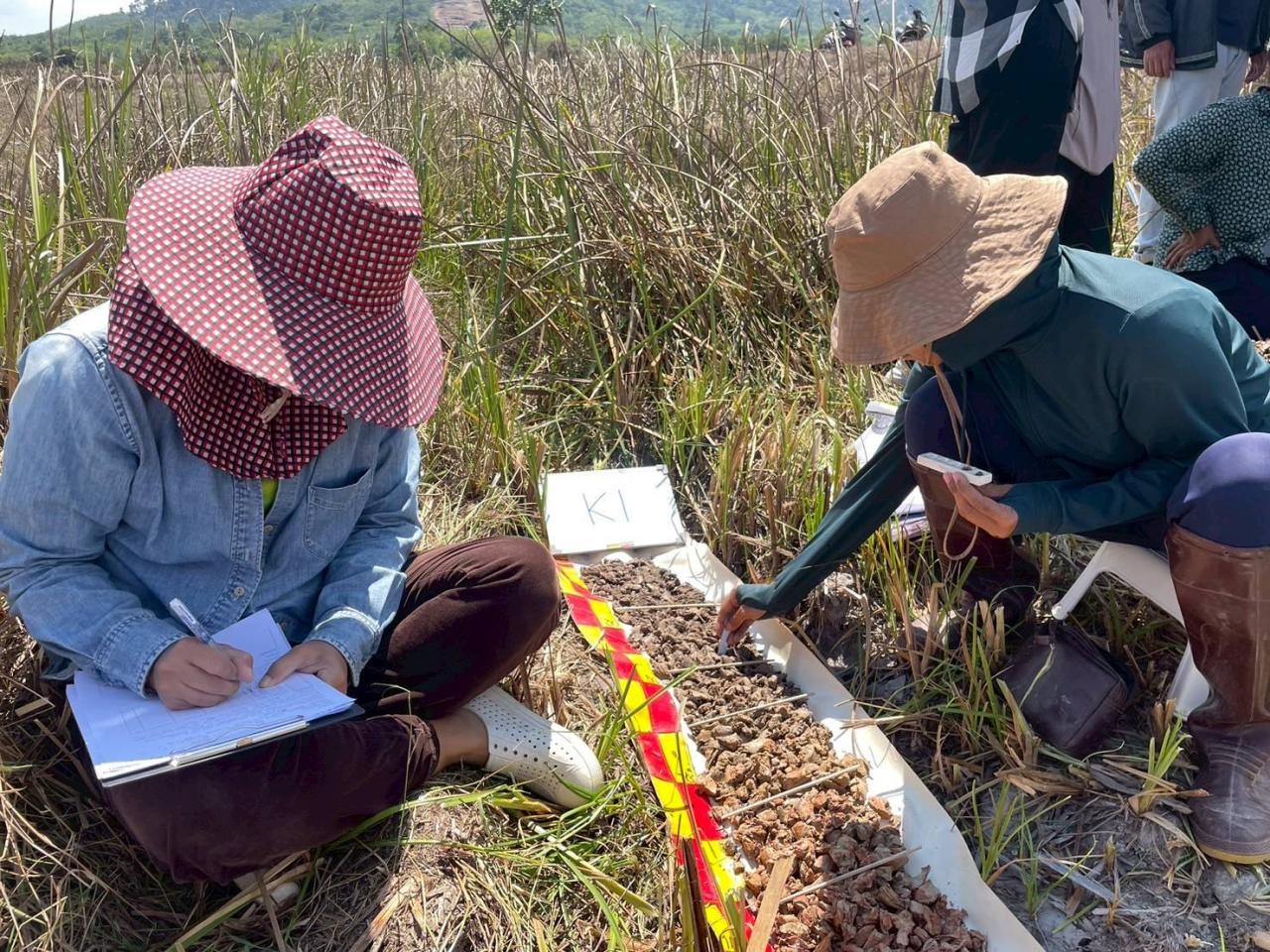 ภาพประกอบที่ 9