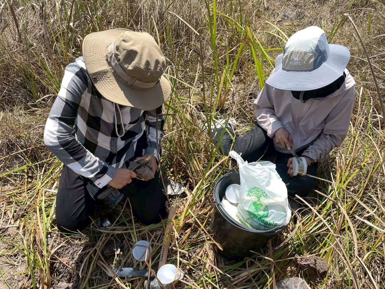 ภาพประกอบที่ 11