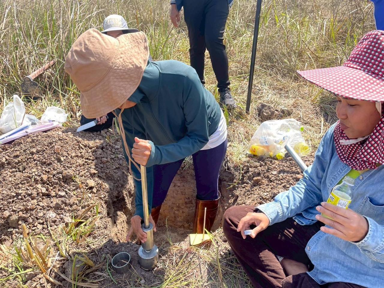 ภาพประกอบที่ 12