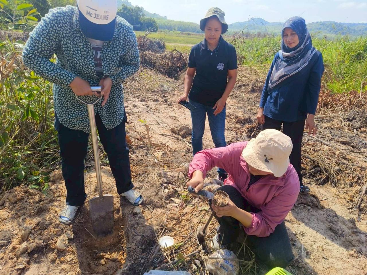 ภาพประกอบที่ 14