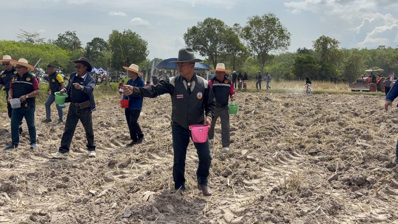 ภาพประกอบที่ 11