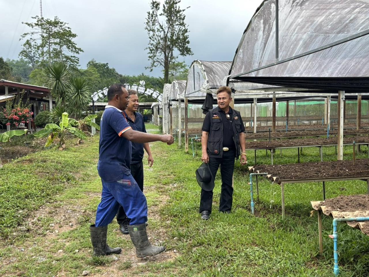ภาพประกอบที่ 11