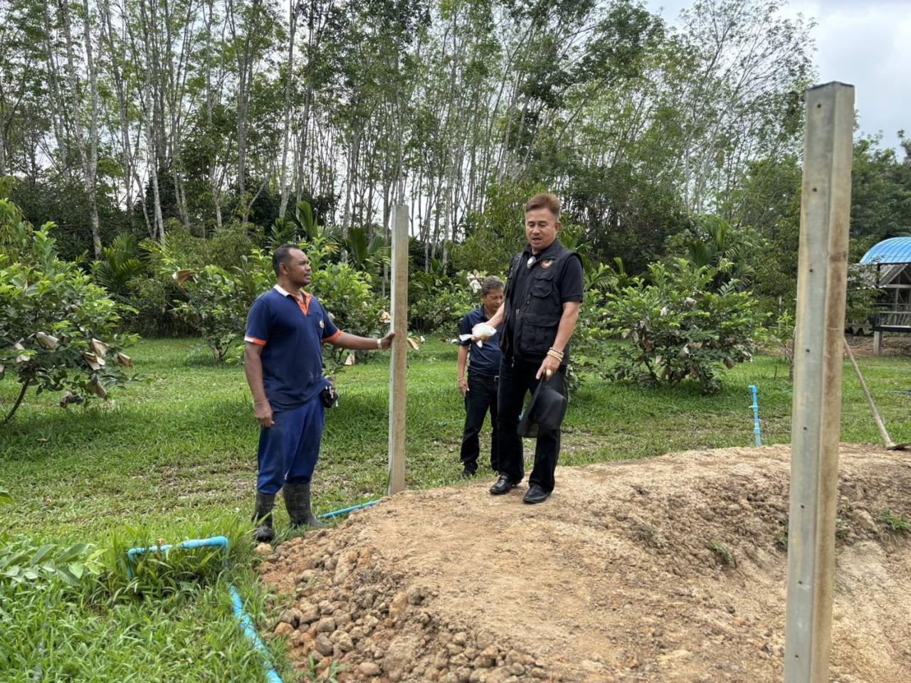 ภาพประกอบที่ 12