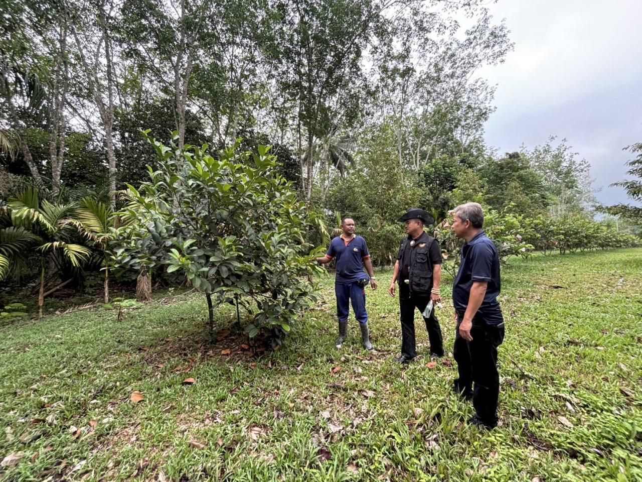 ภาพประกอบที่ 13