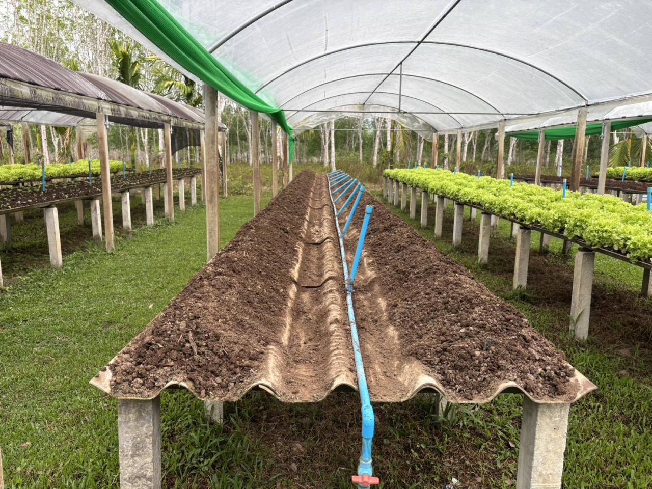 ภาพประกอบที่ 15