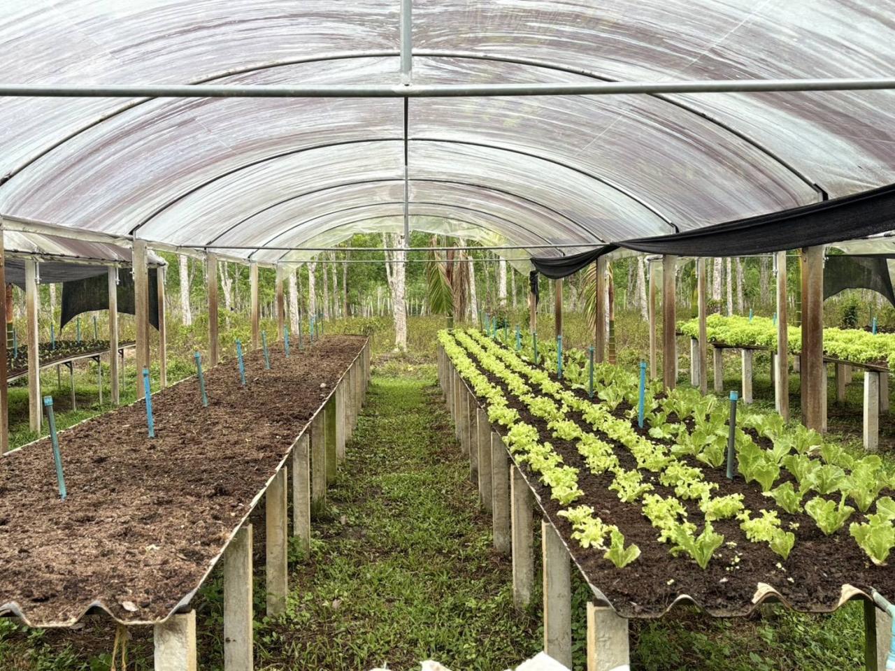 ภาพประกอบที่ 16