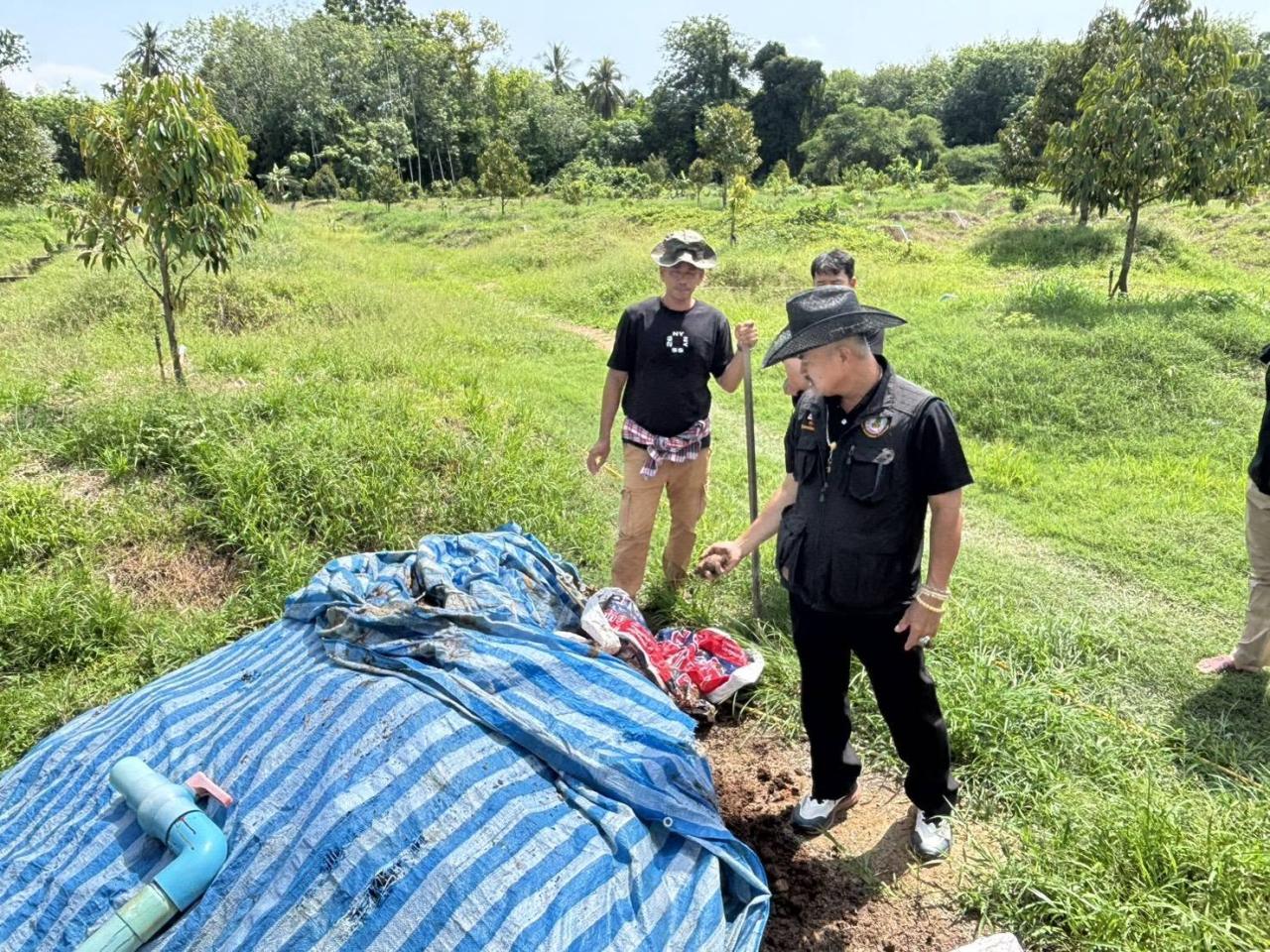 ภาพประกอบที่ 12