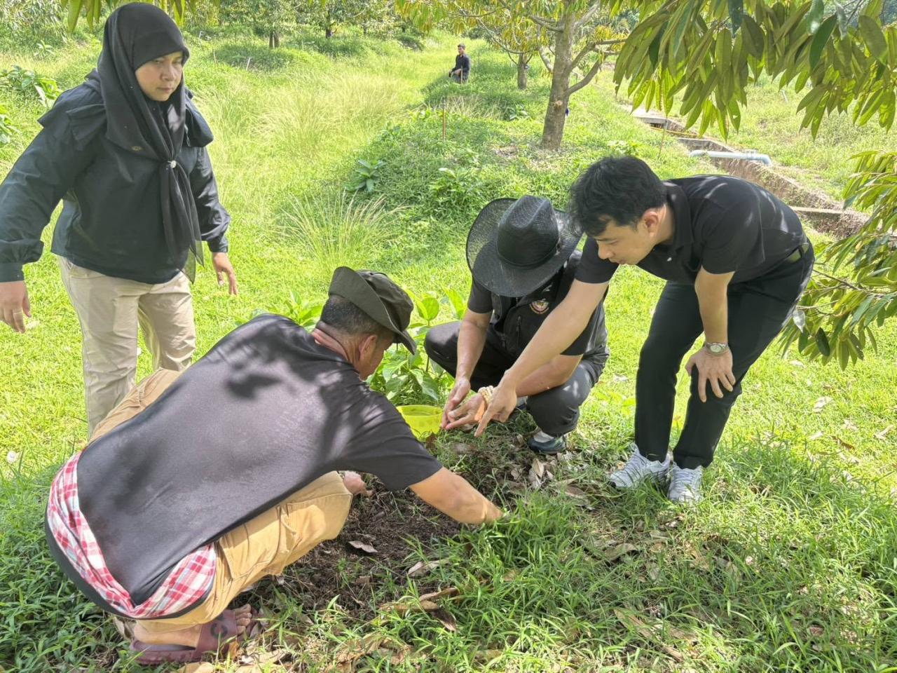 ภาพประกอบที่ 14