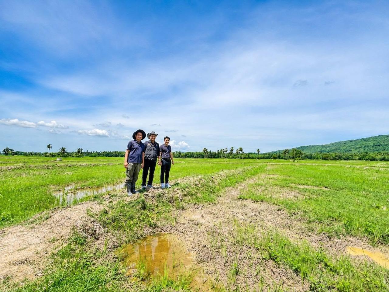 ภาพประกอบที่ 10