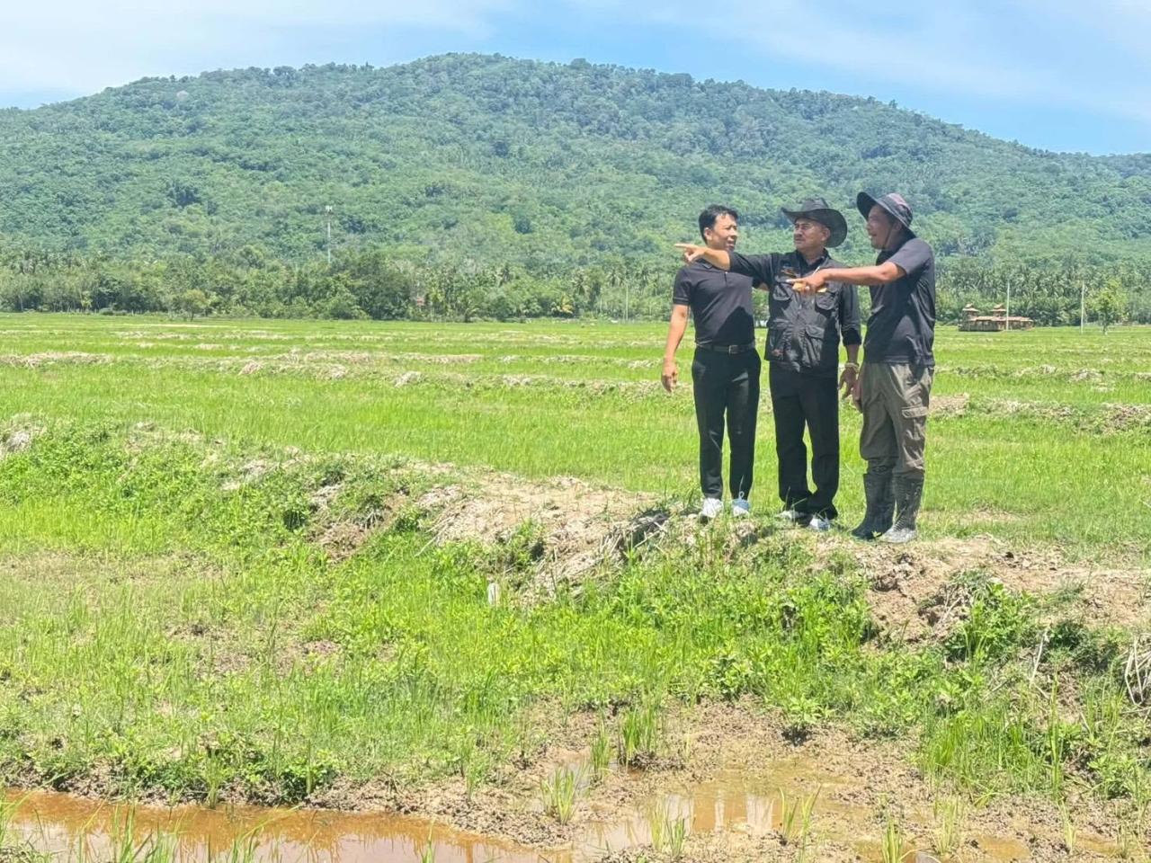 ภาพประกอบที่ 11