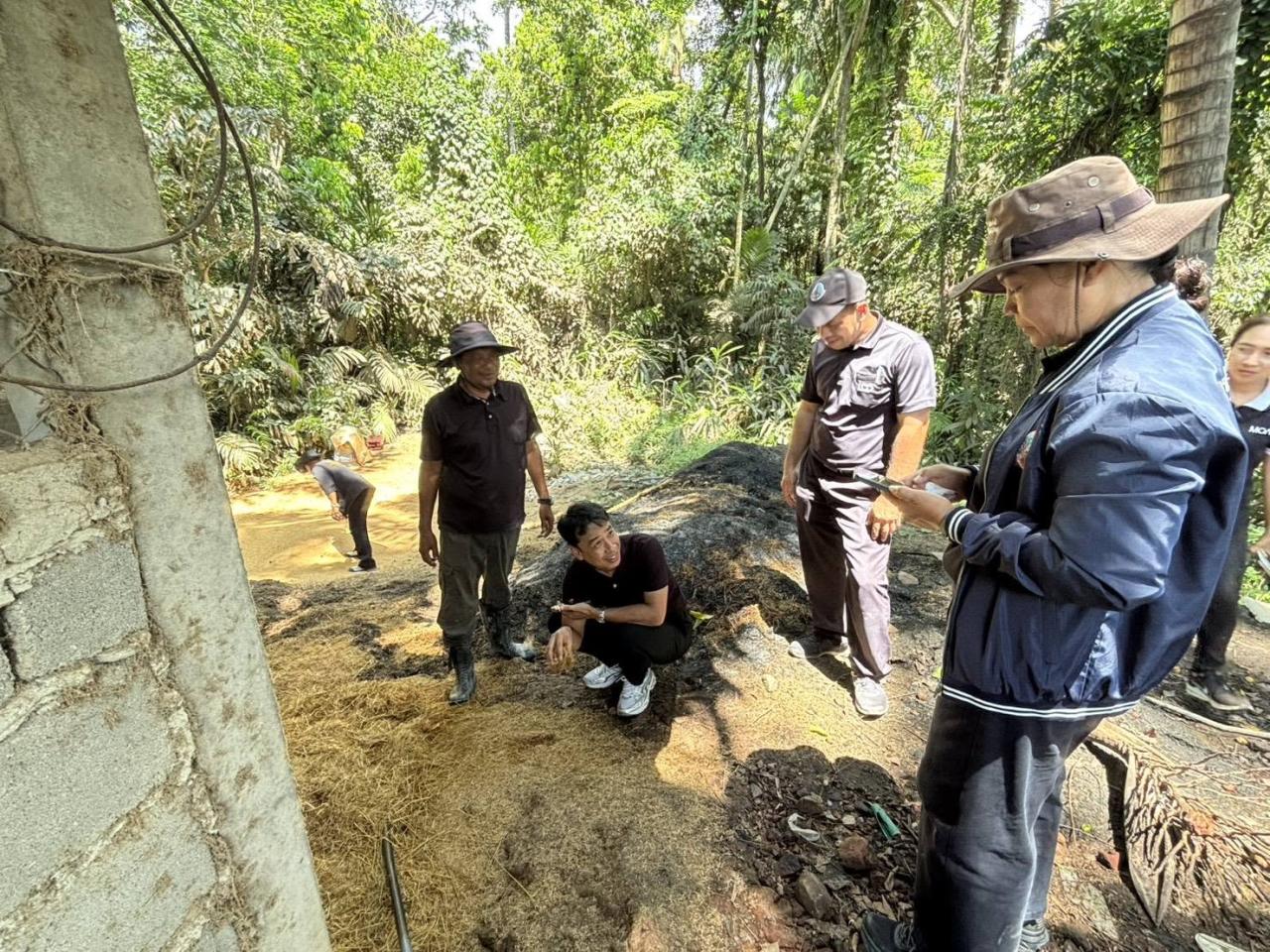 ภาพประกอบที่ 21
