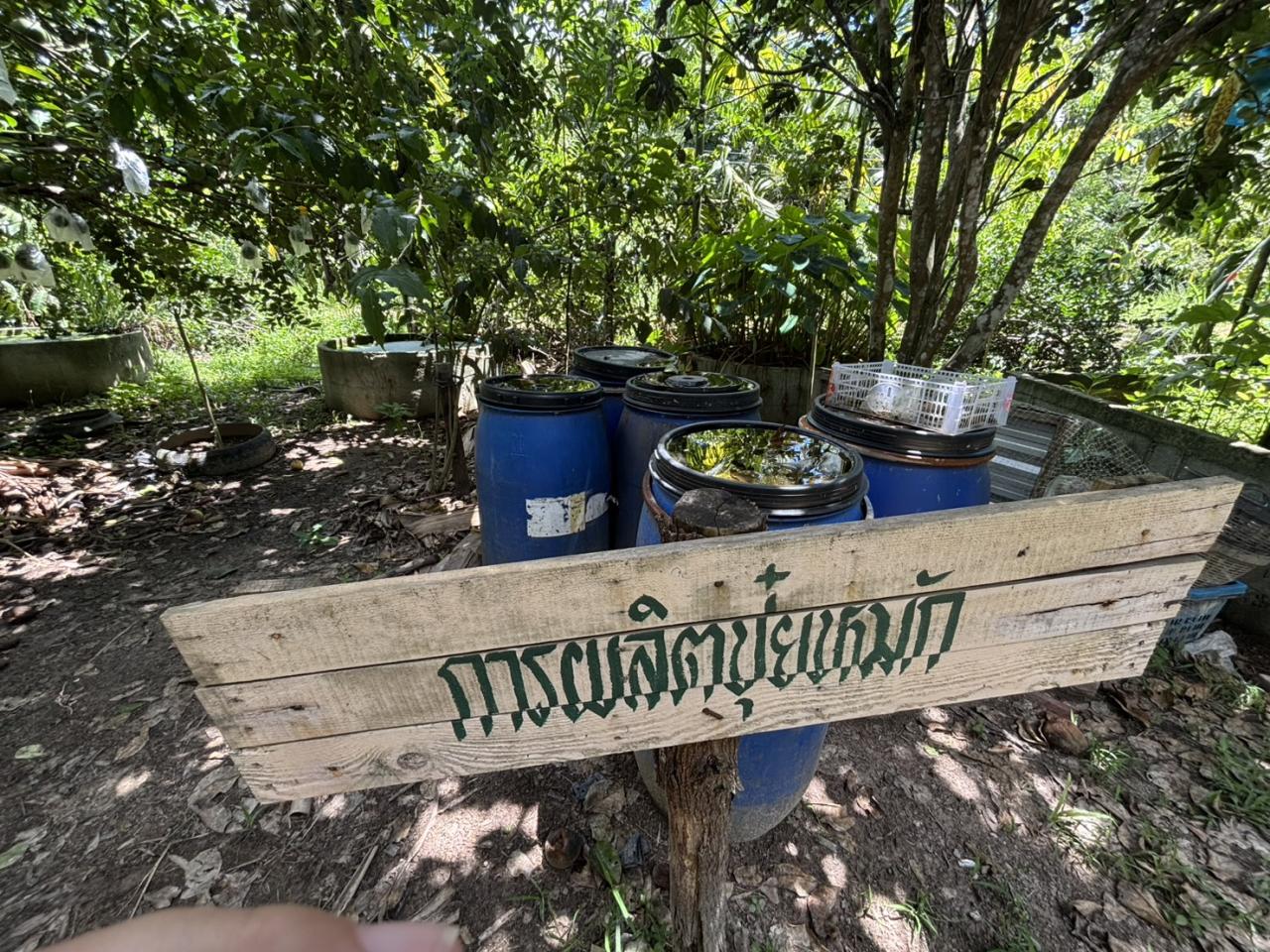 ภาพประกอบที่ 13