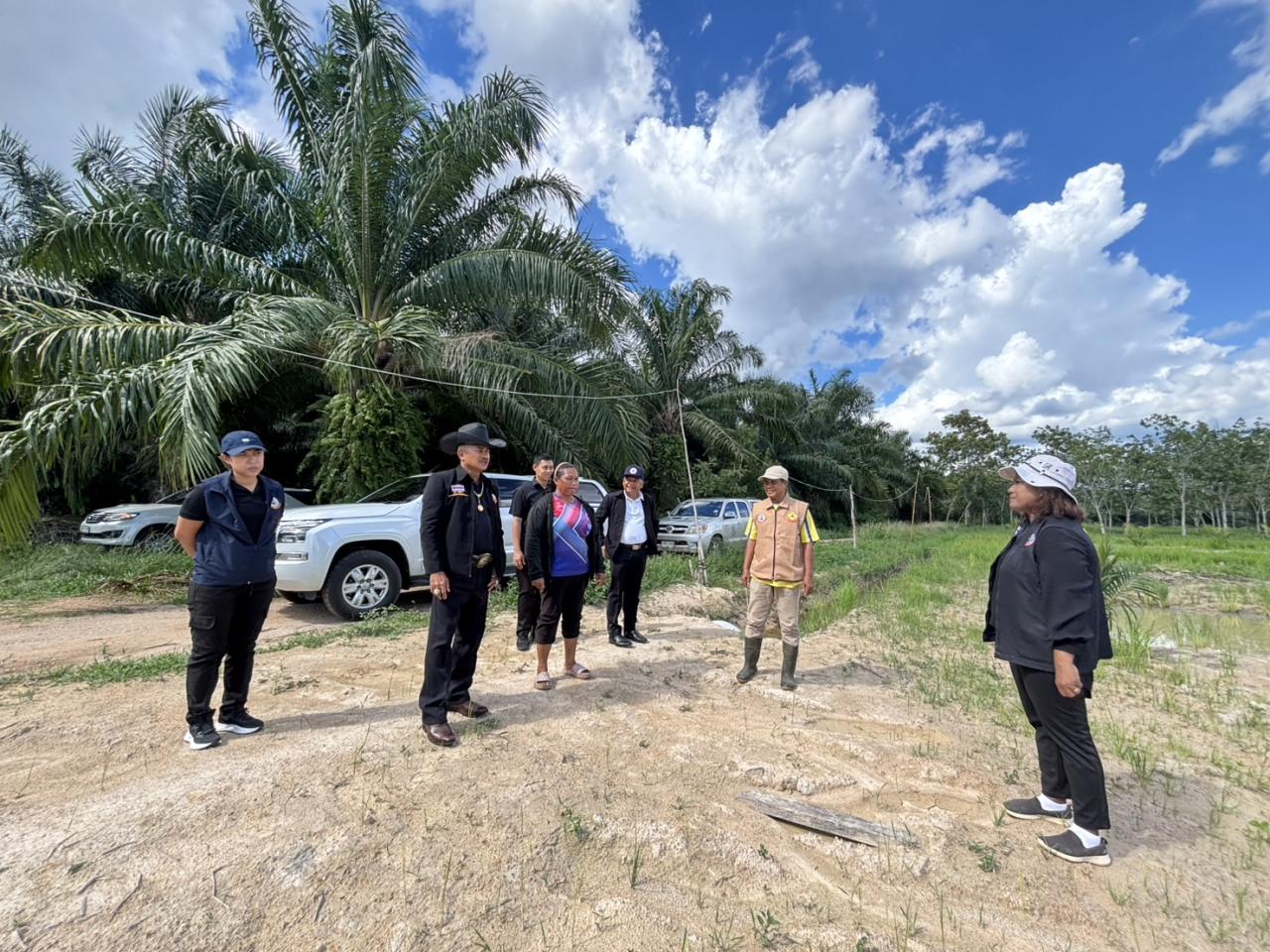 ภาพประกอบที่ 24