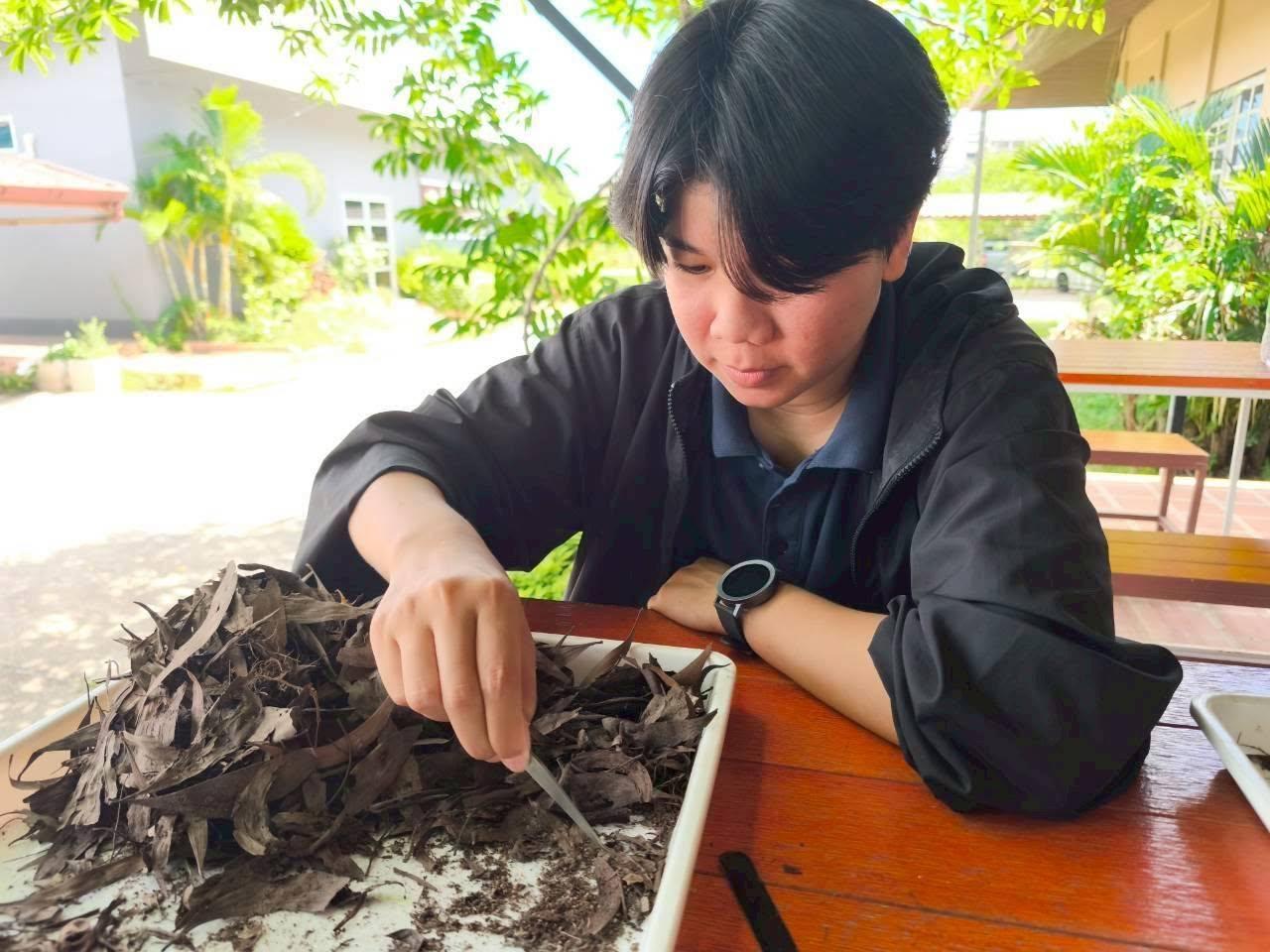 ภาพประกอบที่ 15
