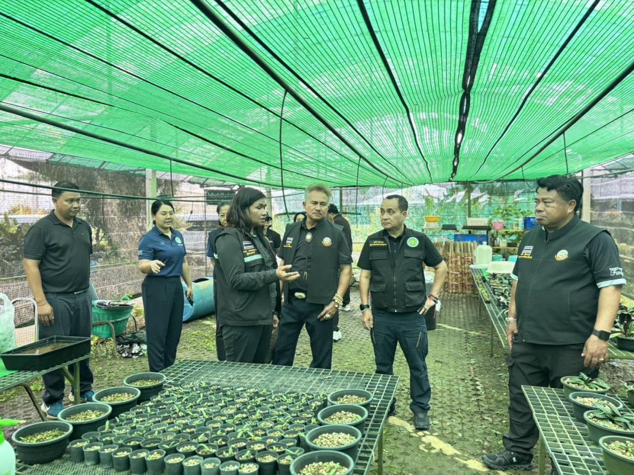 ภาพประกอบที่ 23