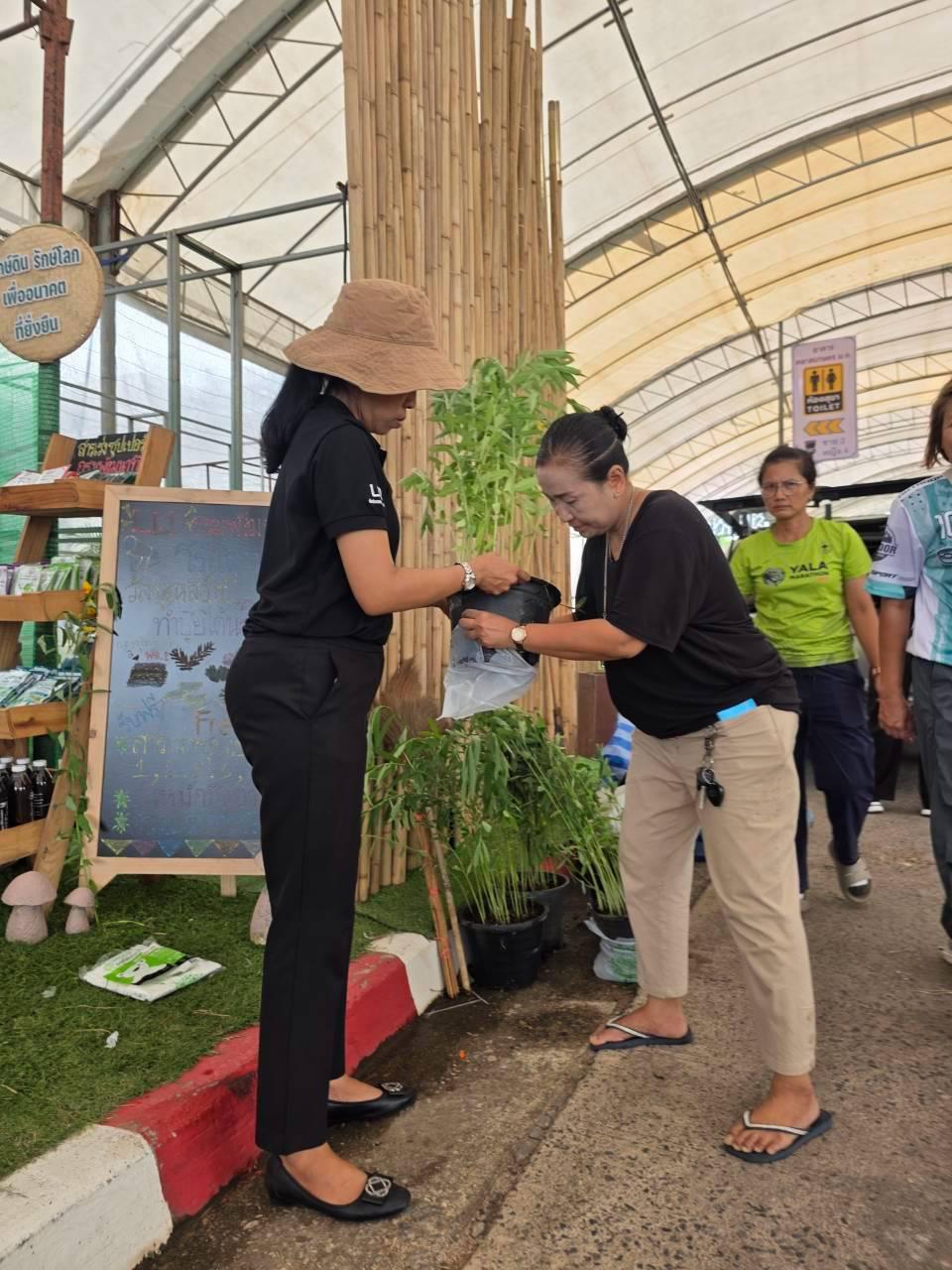 ภาพประกอบที่ 10